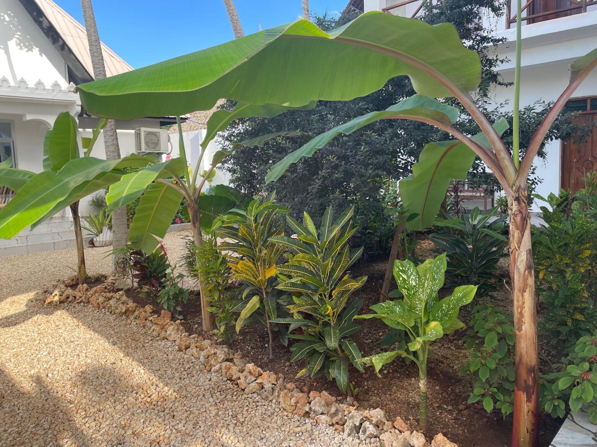 Daniel Zanzibar Hotel Nungwi Luaran gambar